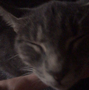 Meet your Posher, Unicorn